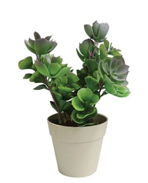 echeveria-succulent-small-artifical-plant-23cm