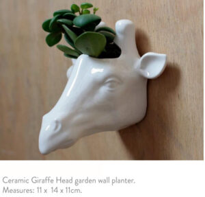 ceramic-giraffe-head-wall-planter-11x14x11cm