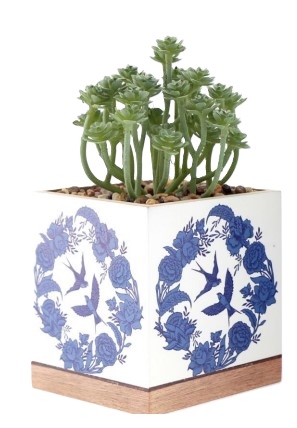 willow-succulent-planter-11x20cm