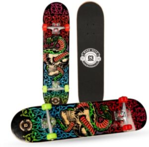 madd-gear-31-inch-skateboard-snake-pit