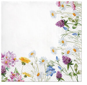 paw-lunch-napkins-33cm-spring-frame