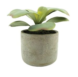 marla-succulent-artifical-plant-15cm
