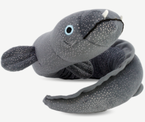 ellie-the-longfin-eel-soft-toy-40cm