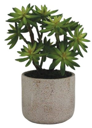 yatina-succulent-artifical-plant-25cm