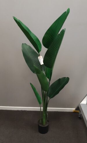 banana-palm-artifical-plant-170x1520mm-h-potted
