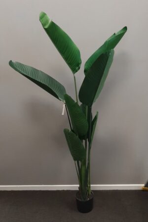 banana-palm-lrg-artifical-plant-190x1850mm-h-potte