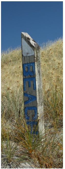 beach-350x970-nz-canvas-order-in
