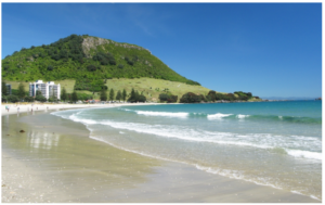 mt-maunganui-beach-960x595-nz-canvas-print
