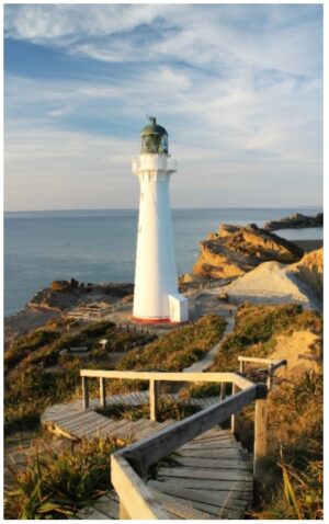 castlepoint-595x960-nz-canvas-print