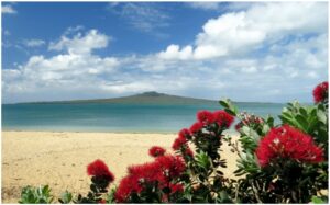 cheltenham-beach-960x595-nz-canvas-print-order-in