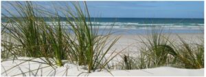 coast-great-exhibition-bay-1200x400-nz-canvas-prin