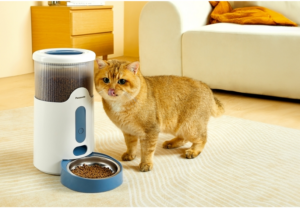 Pet Products