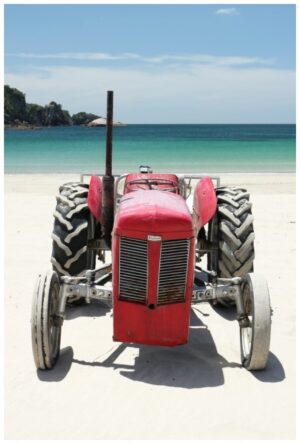 fergie-410x665-nz-canvas-print