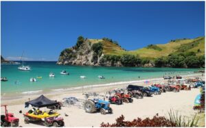 hahei-summer-960x595-nz-canvas-print