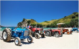 hahei-tractors-2-960x595-nz-canvas-print