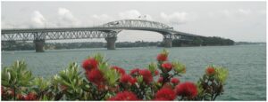 harbour-bridge-1200x400-nz-canvas-order-in