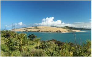 hokianga-960x595-nz-canvas-print-order-in