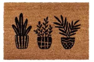 cacti-printed-coir-door-mat-with-vinyl-back-40x60c