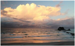 mangawhai-960x595-nz-canvas-print-order-in