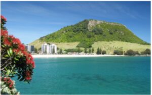 mt-maunganui-960x595-nz-canvas-order-in