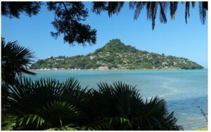mt-paku-tairua-960x595-nz-canvas-order-in