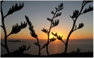 northern-sunset-960x595-nz-canvas-print-order-in
