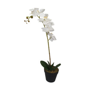 white-orchid-artifical-plant-180x600mm-h-potted