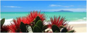 pacific-pohutukawa-1200x400-nz-canvas-order-in