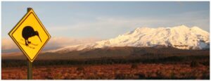 skiwi-1200x400-nz-canvas-print