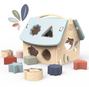speedy-monkey-house-shape-sorter-with-8-blocks