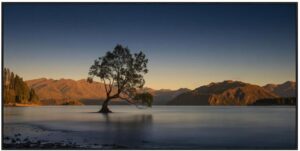 willowing-in-wanaka-canvas-wblack-frame-140x70cm