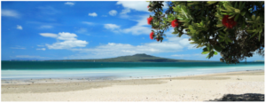 takapuna-beach-960x595-nz-canvas-print