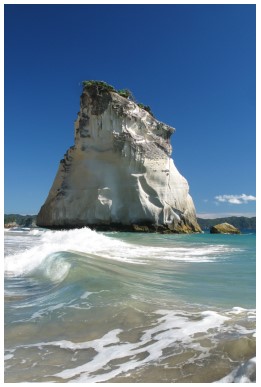 te-hoho-410x665-nz-canvas-print-order-in