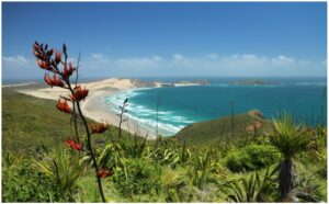 te-werahi-beach-900x660-nz-canvas-print-order-in