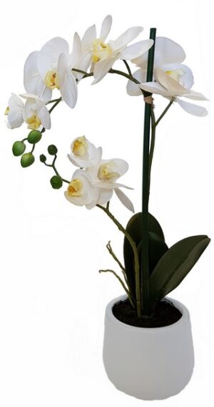 real-touch-orchid-in-pot-white-482mm-high
