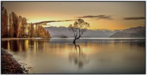 wanaka-tree-sunset-frame-print-100x50cm