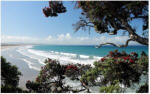 waipu-cove-surf-960x595-nz-canvas-print-order-in