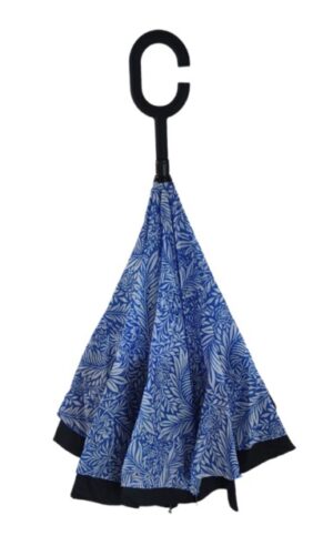mint-larkspur-inverted-umbrella