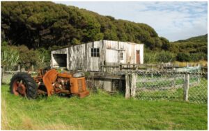 wool-shed-960x595-nz-canvas-order-in