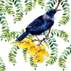 nz-native-birds-cork-coasters-set-of-6-10cm-tui