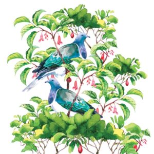 nz-native-birds-cork-coaster-set-of-6-10cm-kereru