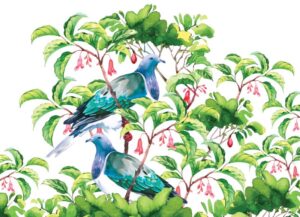 nz-native-birds-cork-placemats-set-of-6-29cm-kerer