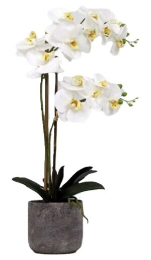 real-touch-orchid-2-spray-in-stone-pot-560mm-high