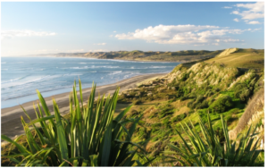 raglan-whaingaroa-960x595-nz-canvas-print