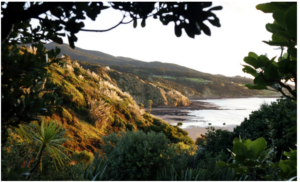 raglan-toi-toi-960x595-nz-canvas-print