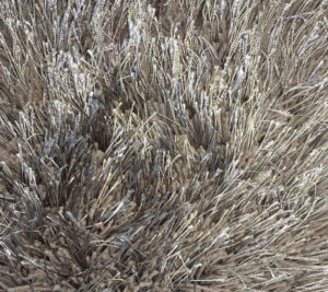 celeste-plus-mocha-19x29-xl-rug-fine-shaggy
