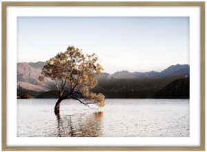solitary-framed-print-woak-frame-90x120cm
