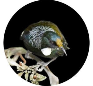 branching-ii-tui-round-canvas-80cm