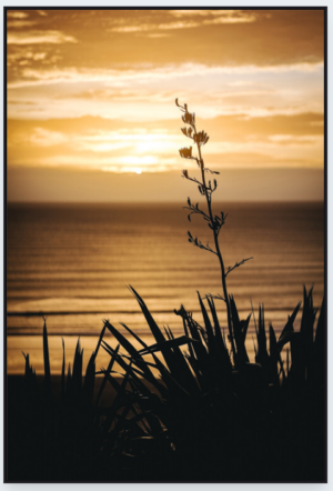 coastal-contour-boxed-frame-print-80x54cm