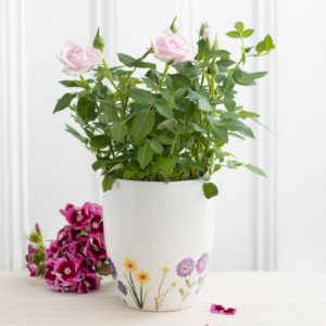 Nectar Meadows Wildflower Planter Pot 13X11Cm